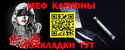 индика Гатчина