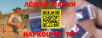 индика Гатчина