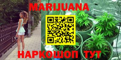 индика Гатчина