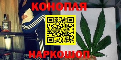 индика Гатчина