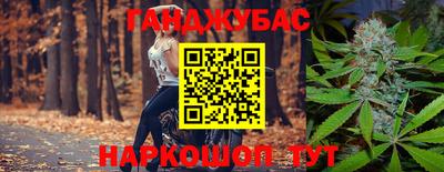 индика Гатчина