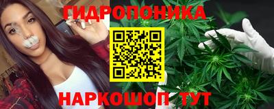 индика Гатчина
