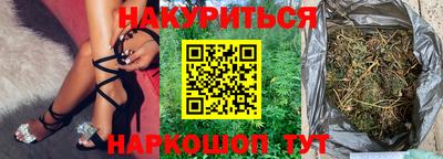 сатива Гай