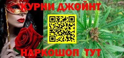 индика Гатчина