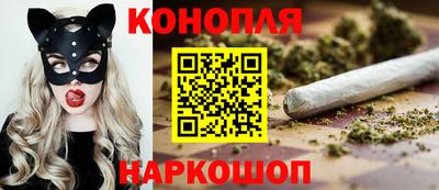 индика Гатчина