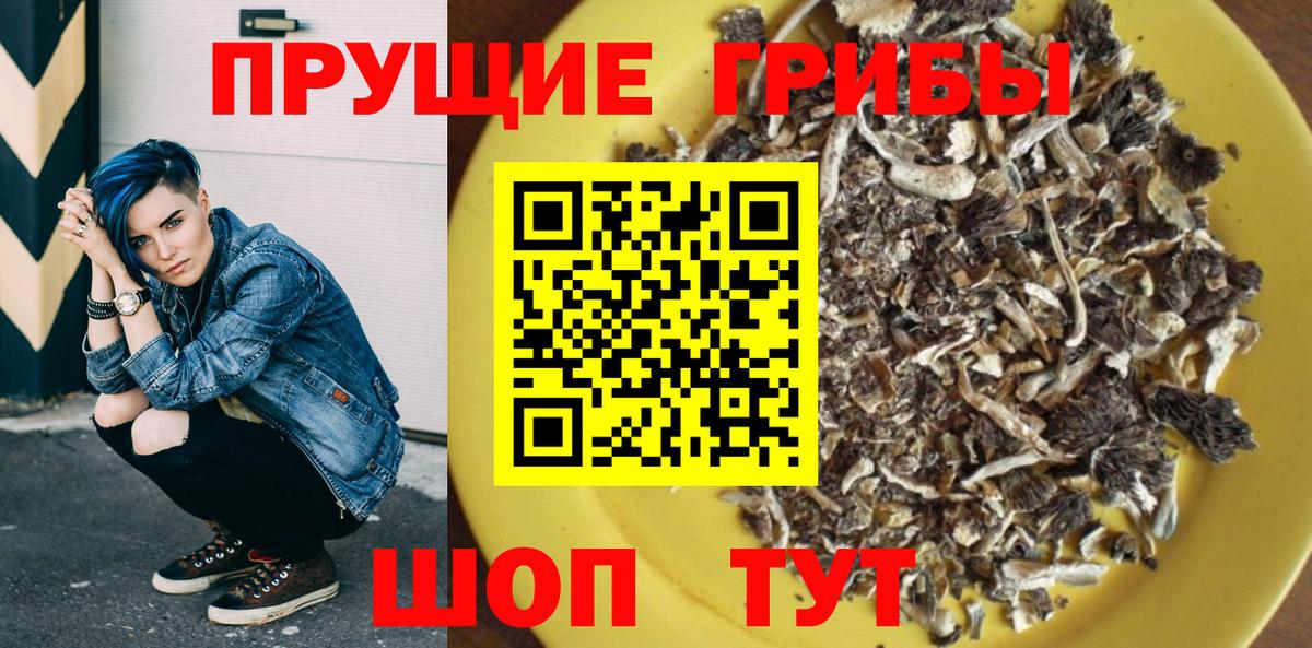 Псилоцибиновые грибы прущие грибы Кыштым